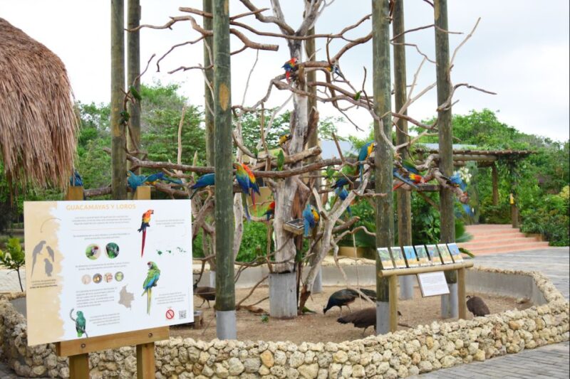 Cartagena: National Aviary of Colombia Entrance Tickets - Educational Presentations