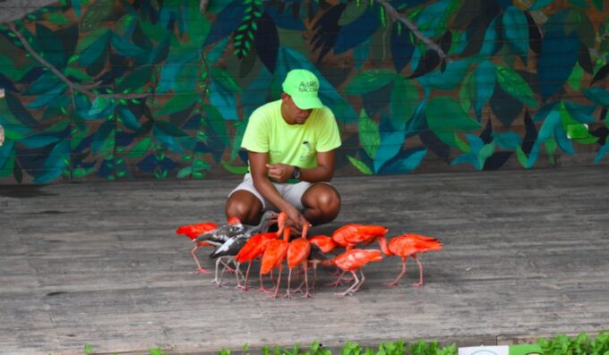 Cartagena: National Aviary of Colombia Entrance Tickets - Accessibility and Transportation