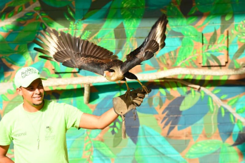 Cartagena: National Aviary of Colombia Entrance Tickets - Bird Diversity and Habitats