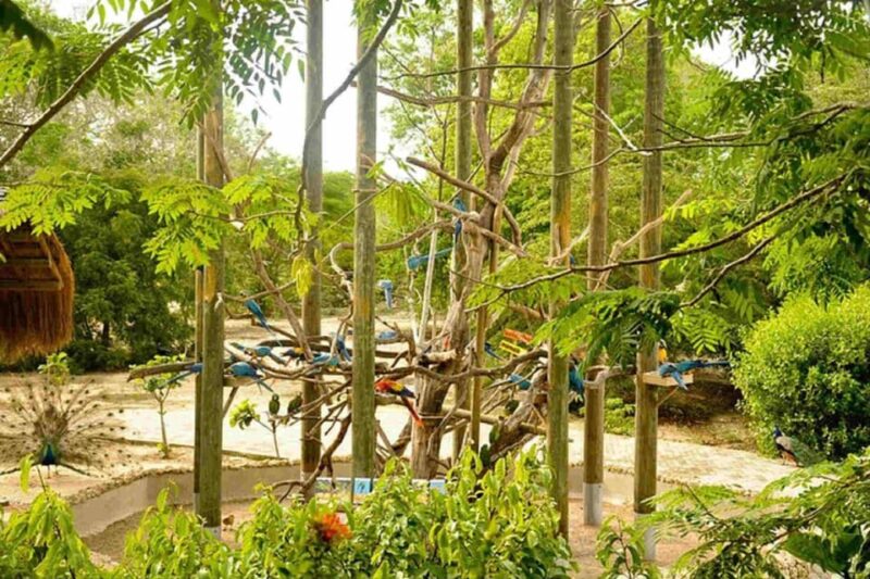 Cartagena National Aviary Private Tour - Climate Zones Exploration