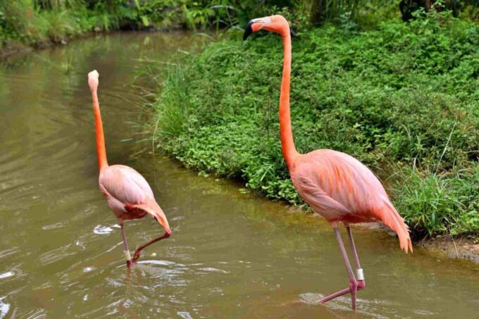 Cartagena National Aviary Private Tour - Inclusions and Exclusions