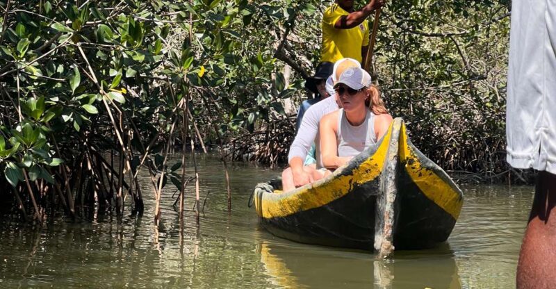 Cartagena Native Fishing Through The Mangroves - Ecological Immersion