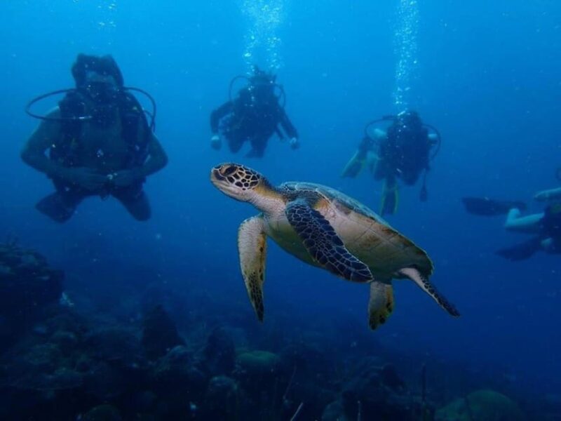 Cartagena: PADI Advanced Open Water Diver Course - Instructor and Safety
