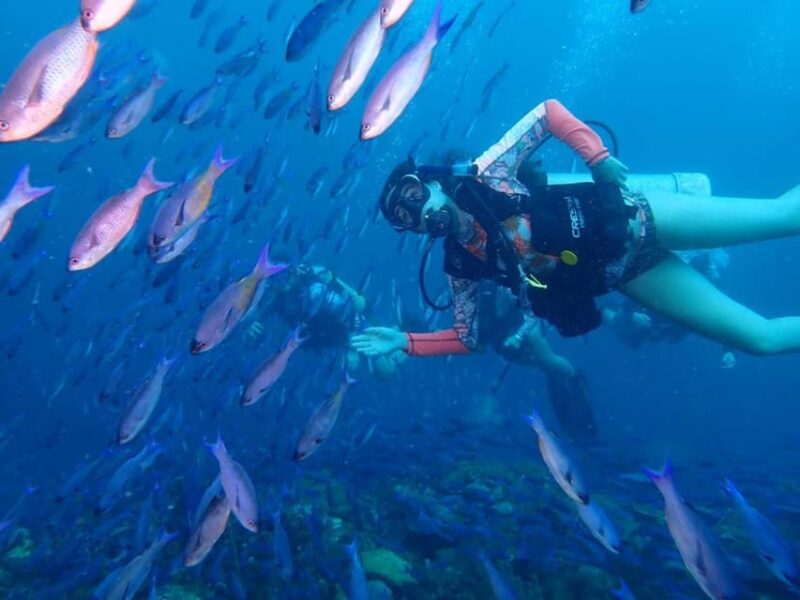 Cartagena: PADI Advanced Open Water Diver Course - Explore the Barú Archipelago