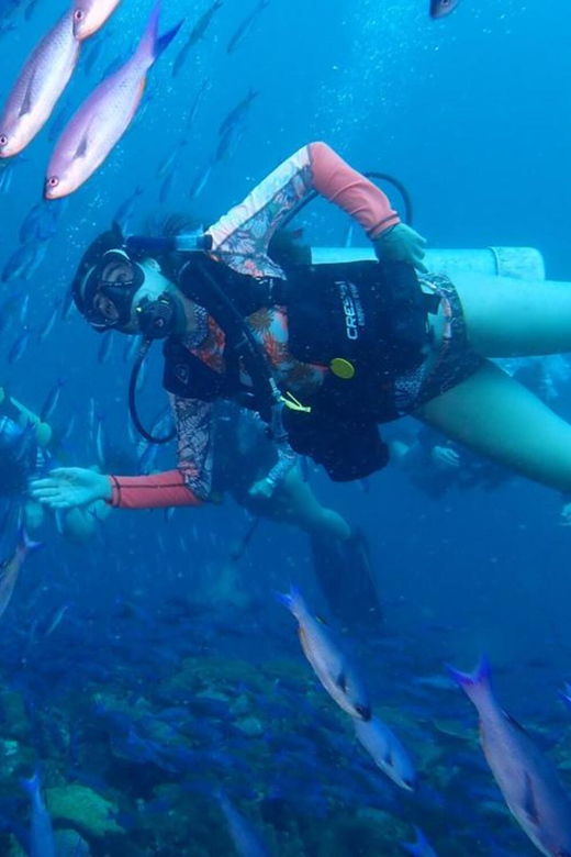 Cartagena: PADI DISCOVER SCUBA / MINICOURSE OF DIVING - Health and Safety Guidelines