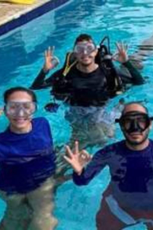 Cartagena: PADI ReActivate Diving Update Program - Key Points