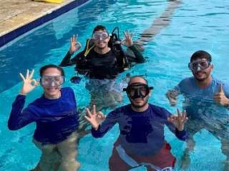 Cartagena: PADI ReActivate Diving Update Program - Pricing and Duration