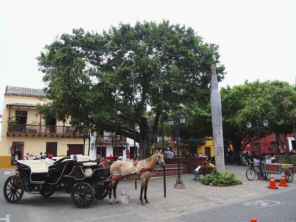 Cartagena Photo Walk & Coffee (Available in English and Spanish) - Key Points