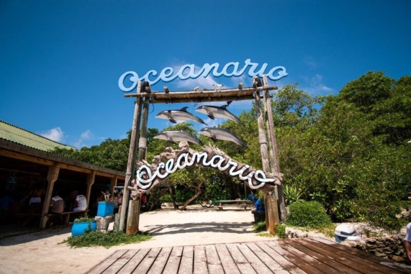 Cartagena: Playa Blanca Barú & Rosario Islands by Boat/Lunch - Included and Excluded
