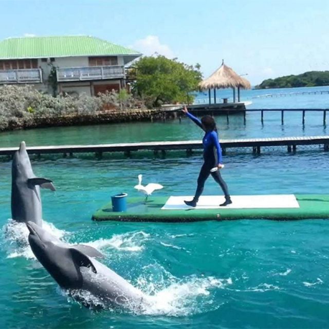 Cartagena: Playa Blanca Barú & Rosario Islands by Boat/Lunch - Suitability and Notes