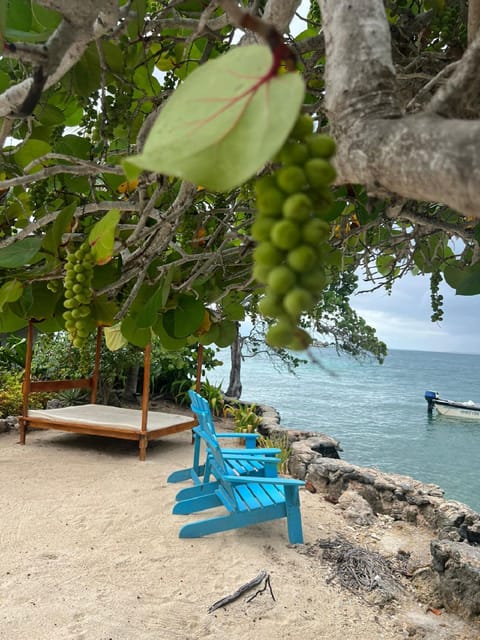 Cartagena: Private Beach Excursion+ Typical Lunch + Open Bar - Inclusions