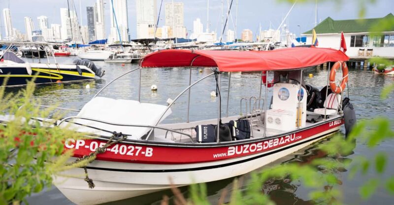 Cartagena: Private Boat for Rosario and Baru Islands - Highlights and Experiences