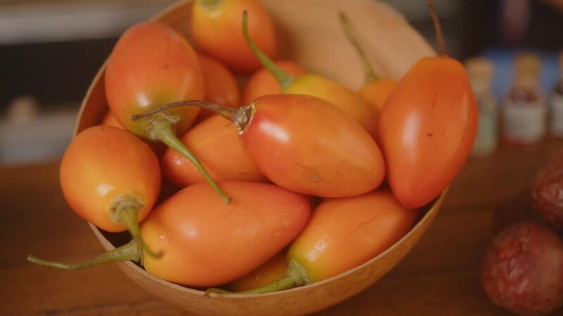 Cartagena: Private Fruit Tasting & Getsemaní Walk - Fruit Tasting Experience