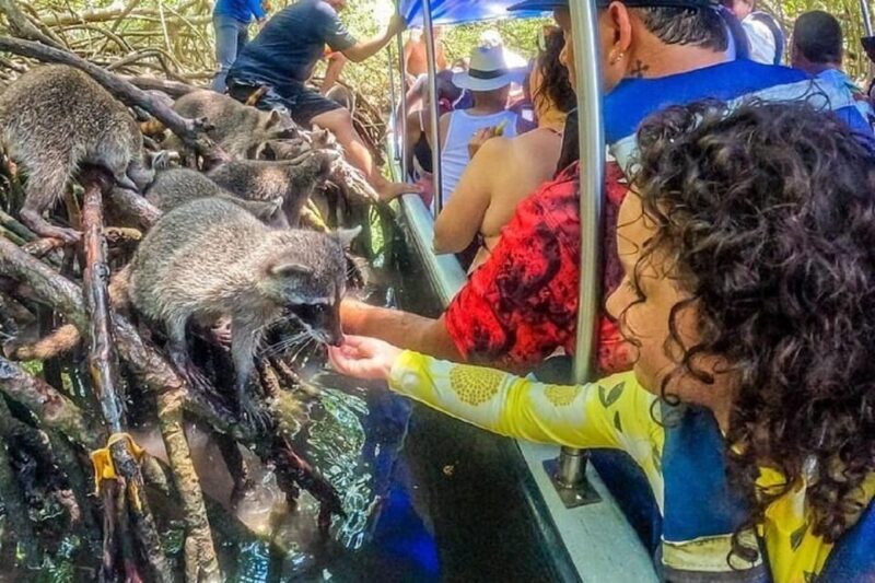 Cartagena: Raccoon Island Snorkel & Mangrove + Photo and Lunch - Included Features