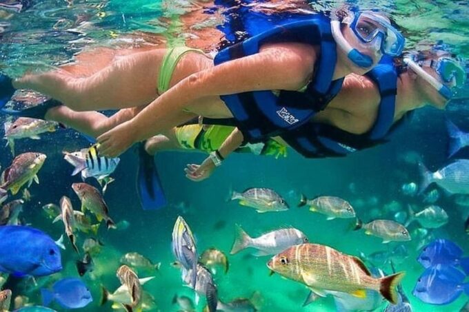 Cartagena: Raccoon Island Snorkel & Mangrove + Photo and Lunch - What to Bring