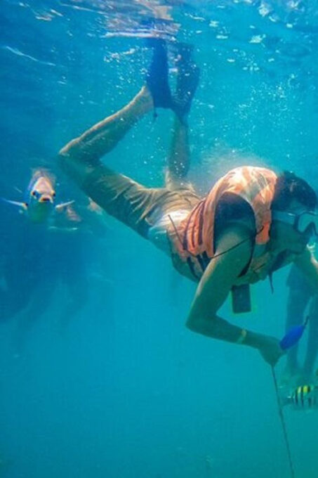 Cartagena: Raccoon Island Snorkel & Mangrove + Photo and Lunch - Customer Reviews