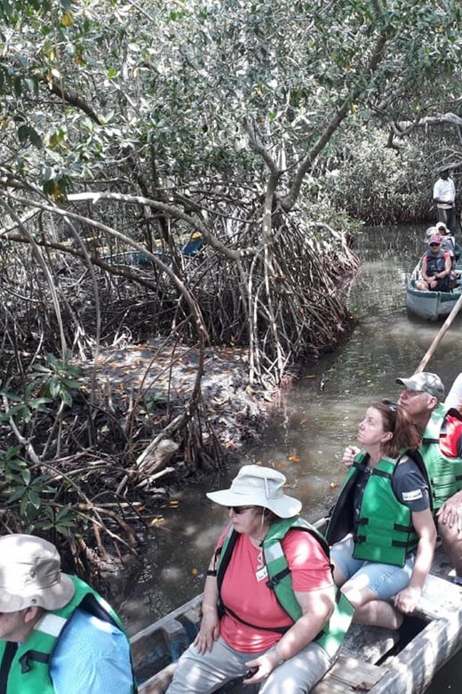 Cartagena: Ride a Horse & Sail Through the Mangrove - Key Points