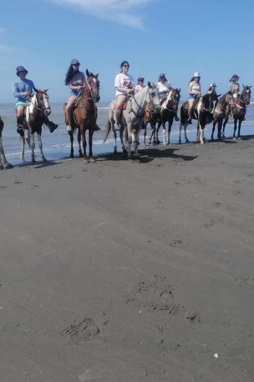 Cartagena: RIDE a HORSE With Pick-Up at the Hotel and Return - Cancellation and Payment Options