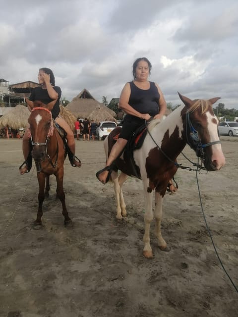 Cartagena: RIDE a HORSE With Pick-Up at the Hotel and Return - Frequently Asked Questions