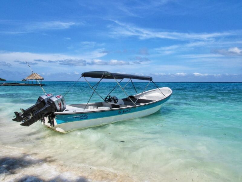 Cartagena: Rosario Island and Mangroves Private Day Trip - Key Points