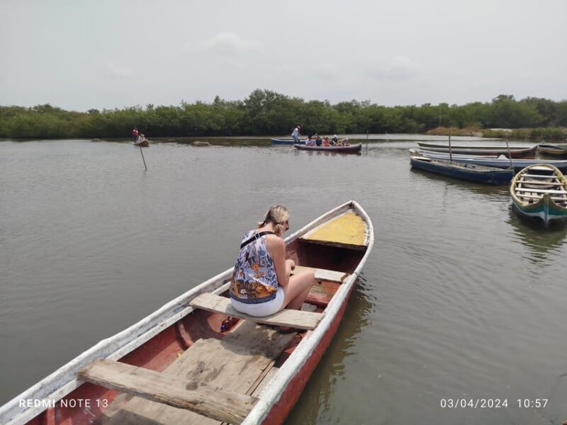 Cartagena: Sail in the Mangrove in a Canoe GUIDE in ENGLISH - Key Points