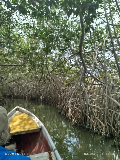 Cartagena: Sail in the Mangrove in a Canoe GUIDE in ENGLISH - Starting Location and Highlights