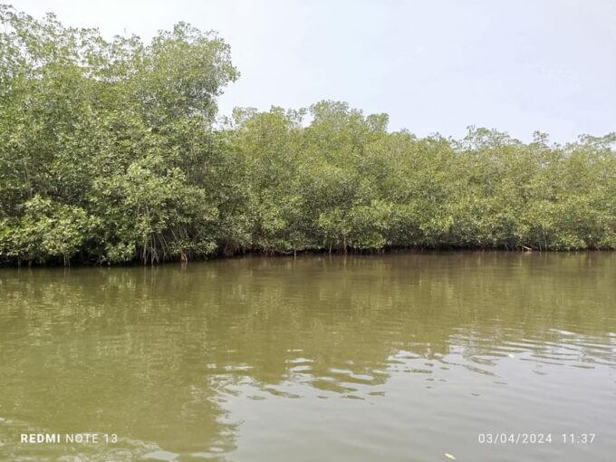 Cartagena: Sail in the Mangrove in a Canoe GUIDE in ENGLISH - Frequently Asked Questions