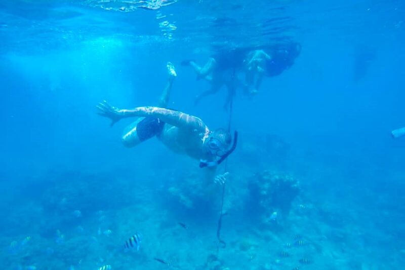 Cartagena: Snorkel, Mangroves and Playa Blanca Tour - Key Points
