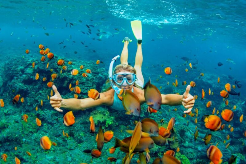 Cartagena: Snorkel, Mangroves and Playa Blanca Tour - Tour Pricing