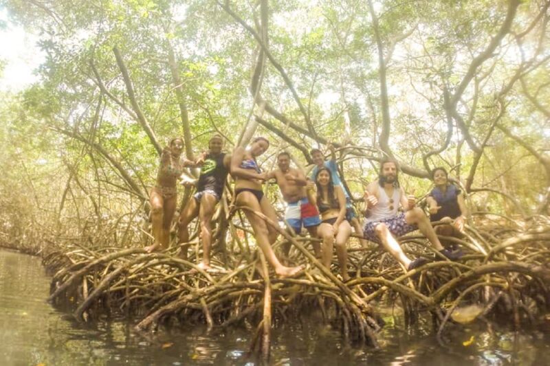 Cartagena: Snorkel, Mangroves and Playa Blanca Tour - Itinerary and Activities