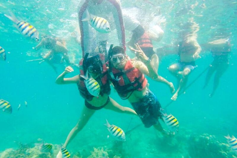 Cartagena: Snorkel, Mangroves and Playa Blanca Tour - Important Information