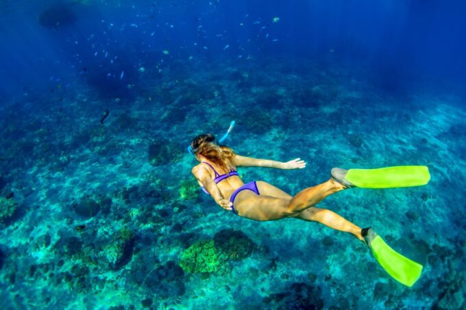 Cartagena: Snorkel, Mangroves and Playa Blanca Tour - Customer Reviews