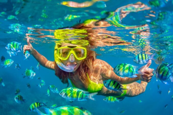 Cartagena: Snorkel, Mangroves and Playa Blanca Tour - Tour Highlights