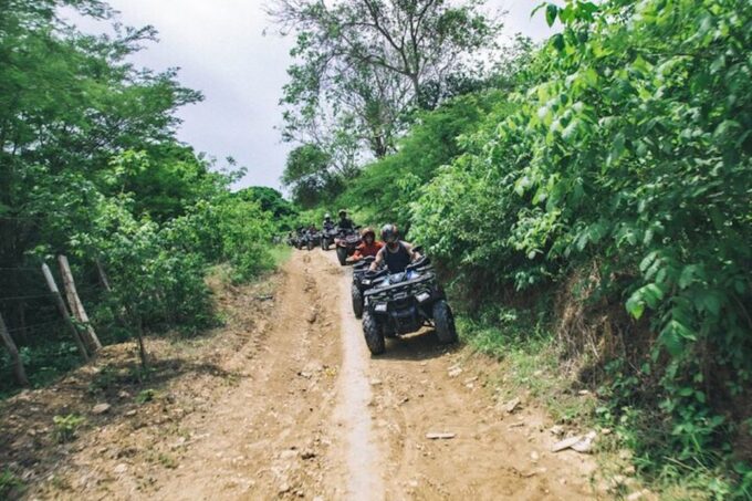 Cartagena: Tierra Bomba Island Guided ATV Tour - Customer Feedback Highlights
