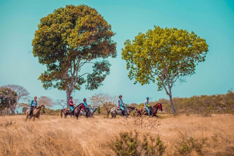 Cartagena, Tierra Bomba Island Horse Treks - Key Points
