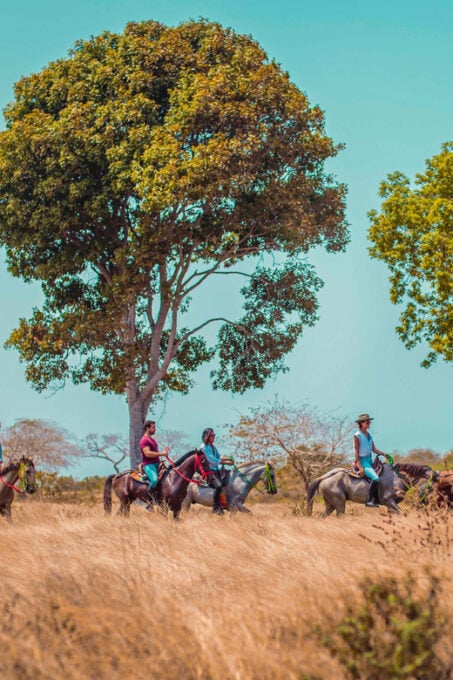 Cartagena, Tierra Bomba Island Horse Treks - Horseback Riding Excursion