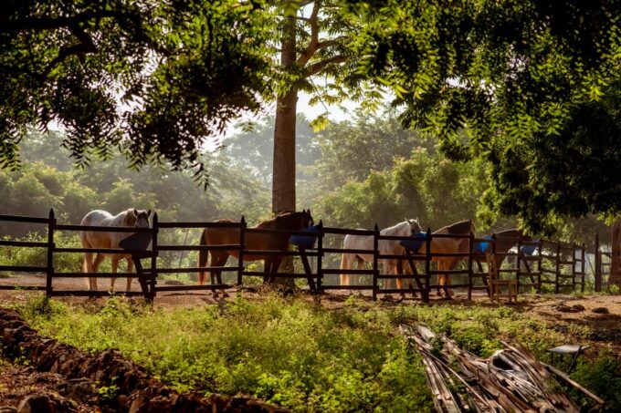 Cartagena, Tierra Bomba Island Horse Treks - Frequently Asked Questions