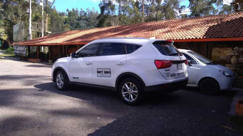 Cartagena to or From Barú Private Transfer - Key Points