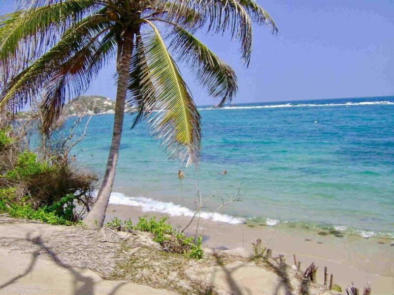 Cartagena to Tayrona Park (Or Vice Versa) Private Transfer - Driver and Support