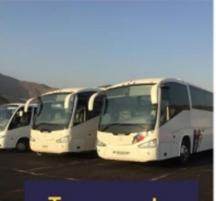 Cartagena: Tour to Barú Islands Playa Blanca With Lunch - Pickup and Transportation Details