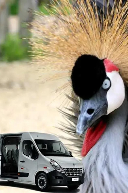 Cartagena: Transport to the Aviary on the Island of Barú - Included and Excluded