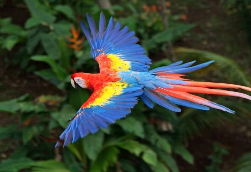 Cartagena: Transport to the Aviary on the Island of Barú - Accessibility Information