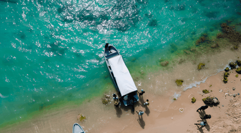 Cartagena: VIP Tour to Playa Tranquila With Snorkel and Lunch - Tour Guide and Communication