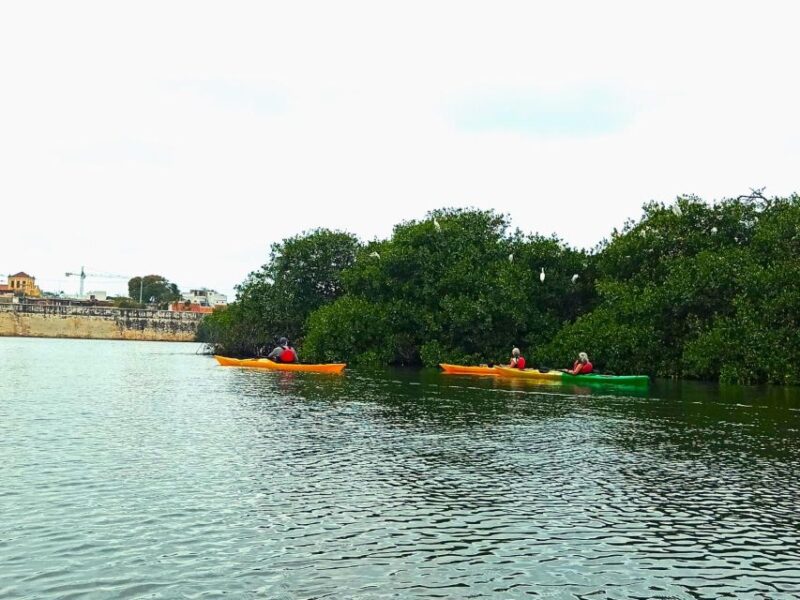 Cartagena: Walled City Kayak Tour - Booking Information