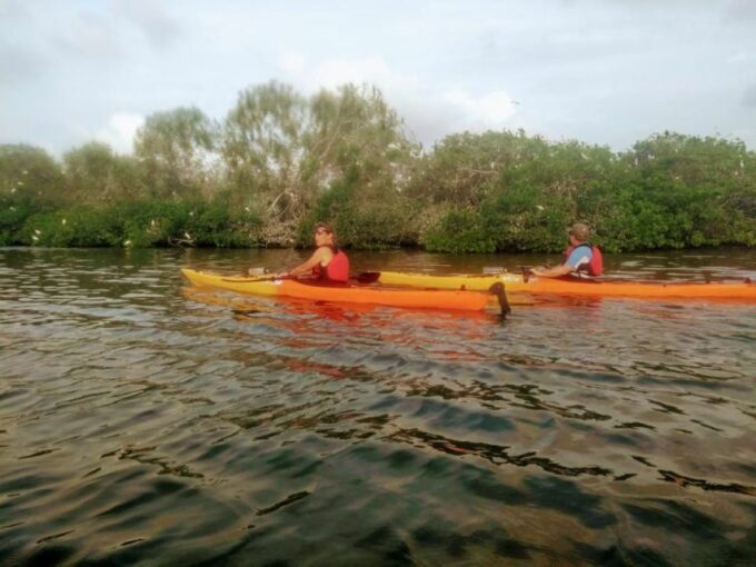 Cartagena: Walled City Kayak Tour - Exploring the Walled City