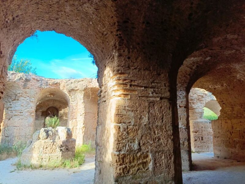 Carthage Archeological Site - Tour Inclusions and Benefits