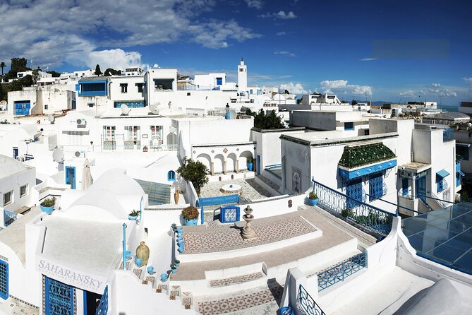 Carthage, Bardo Museum, Sidi Bou Said and Medina Private Day Tour - Important Notes
