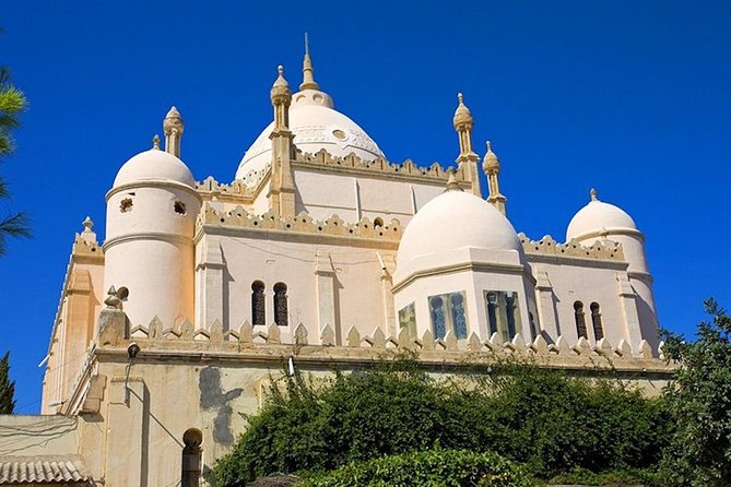 Carthage Discovery Half-Day Tour With Licensed Guide - Customer Reviews and Experiences