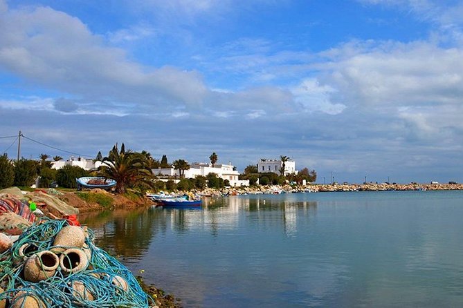 Carthage Discovery Half-Day Tour With Licensed Guide - Tour Pricing and Booking