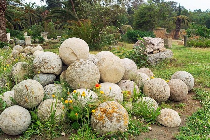 Carthage Discovery Half-Day Tour With Licensed Guide - Discovering Carthages Storied History
